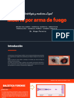 Muerte Por Arma de Fuego PDF