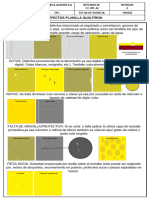 CC - Opl-02 Defectos Planilla Qualitron Rev.0