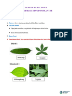 4.2 Proyek Klasifikasi Makhluk Hidup