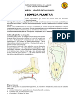 Bóveda Plantar