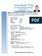 Curriculum-Vitae Guillermo Pfenning Vasquez