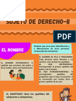 SUJETO DE DERECHO-ii