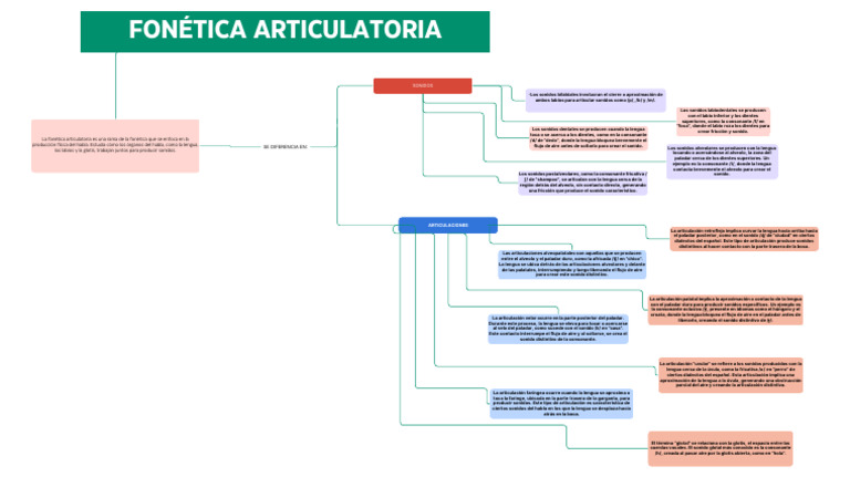 Fonética articulatoria | PDF | Fonética | Voz humana