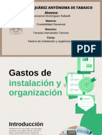 Gastos de Instalación y Organización