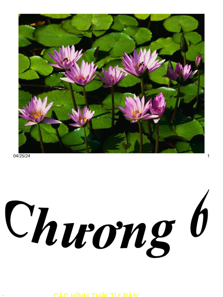 Bai 6 | PDF