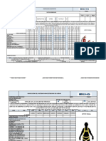 25-Ehs Csh025 Formatos Check List