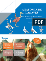 C2. Anatomía de Las Aves