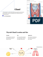 The Thyroid Gland