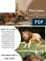 The Lions (English Presentation 2024) .