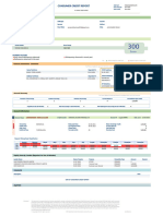 Consumer Credit Report: Score