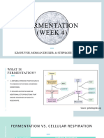 Fermentation