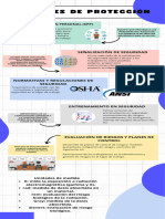 Infografia Niveles de Proteccion