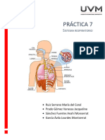 Sistema Respiratorio Práctica 7