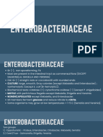 5+Enterobacteriaceae%2c+Non Enteric+Gi+Pathogen%2c+and+Non Fermentative+Gram Negative+Bacilli