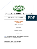 Intellectual Property Rights