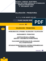 Presentacion-Valoracion Probatoria - Tribunal Electoral