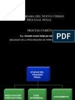 FLUJO GRAMA DEL CODIGO PROCESAL PENAL 2014