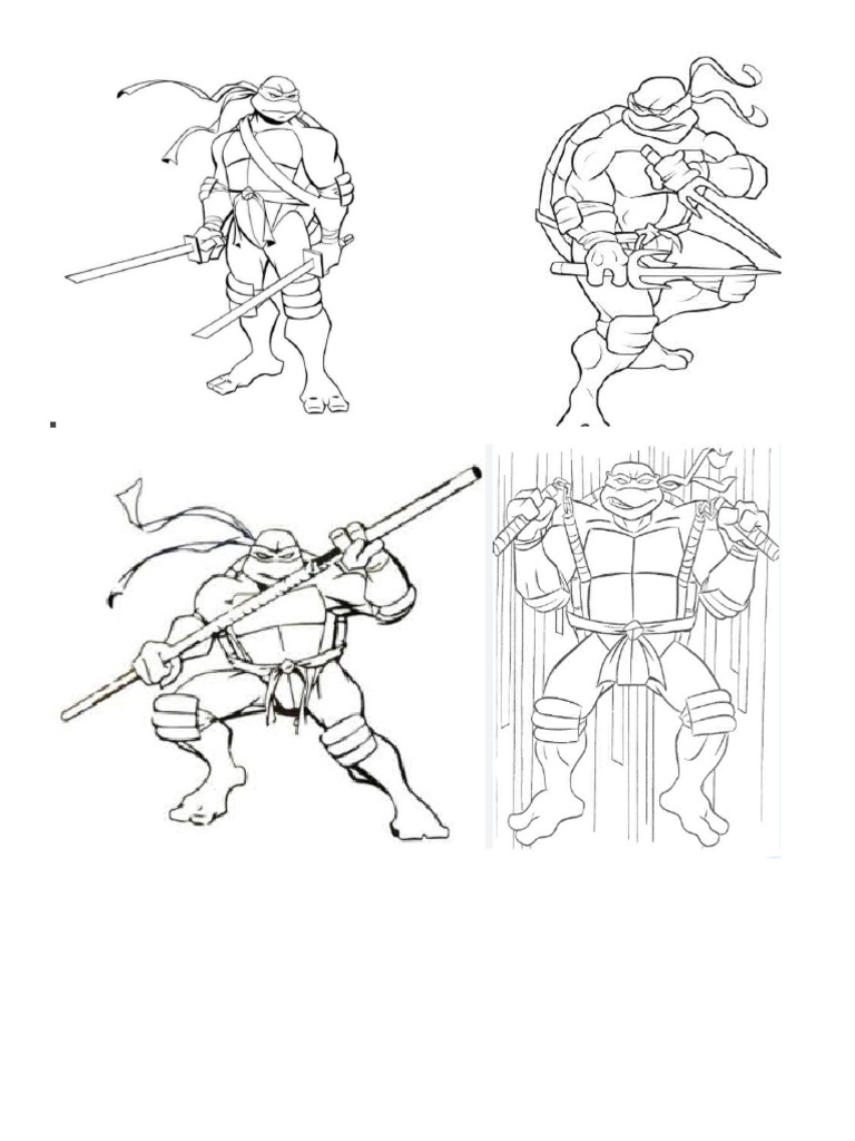Turtles | PDF