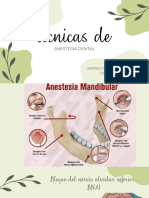 Técnicas Mandibulares - 20240222 - 141103 - 0000