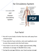 Dokumen - Tips - Sbi3u The Circulatory System Introduction and Human Circulatory System