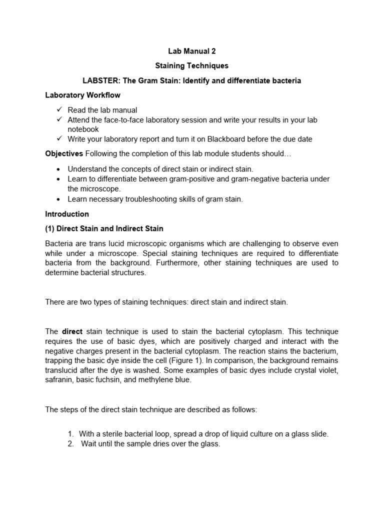 Laboratory 2 Staining Techniques Download Free Pdf Gram Positive