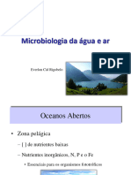 Microbiologia Da Agua e Ar