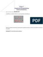 Manual Preclinico Guias 7-8!9!10-11 (2022)