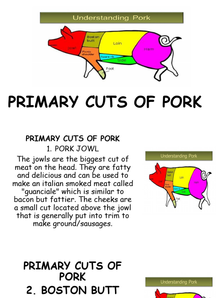 Primary Cuts of Pork Explained | PDF