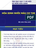 XN CHẨN ĐOÁN BỆNH LÝ TIM MẠCH