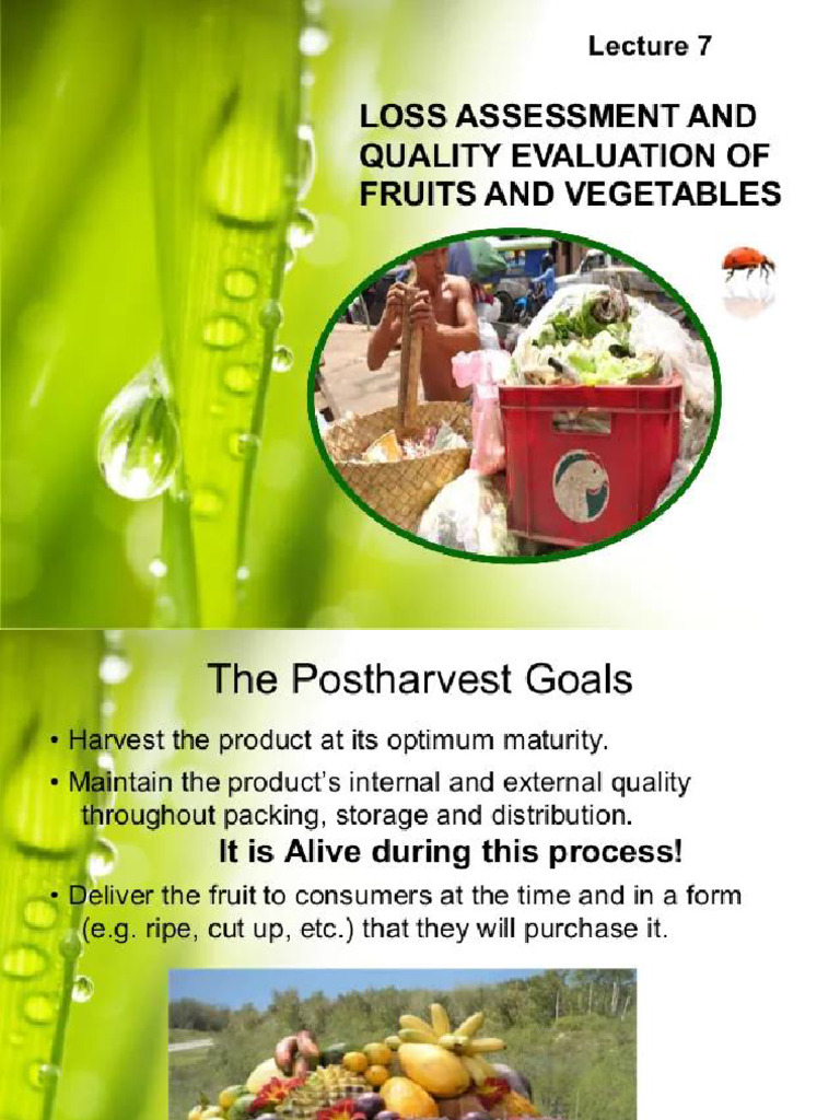 Lecture 7 Loss Assessment and Quality Evaluation of Fruits and ...