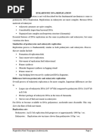 Eukaryotic Replication