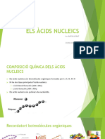 Tema 5. Els Àcids Nucleics