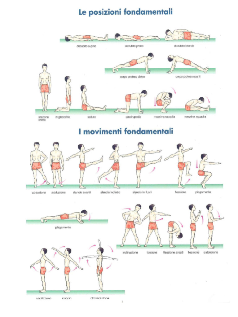 Posizioni Del Corpo | PDF