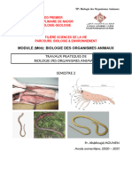 Polycopie TP Svi s2 Biol Org Anim 20-21 - Abdelmajid Moumen