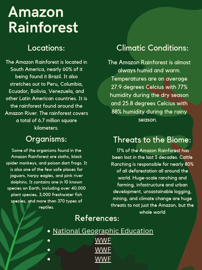 Amazon Rainforest Overview and Threats | PDF