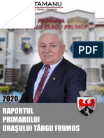 Raport Primar 2020