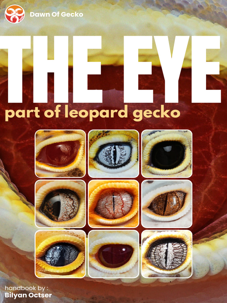 Variasi Mata pada Leopard Gecko | PDF