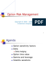 Derivatives > Advanced Option Risk Management