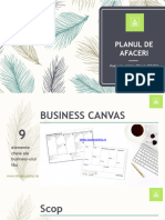 Curs 9 Planul de Afaceri Business Canvas