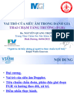 Vai Tro Cua Sieu Am Trong Danh Gia Thai Cham Tang Truong - ttcsskssbd.04.06.2022.60 Min