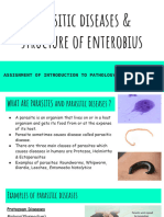 Parasitic Diseases & Structure of Enterobius