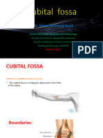 cubital fossa