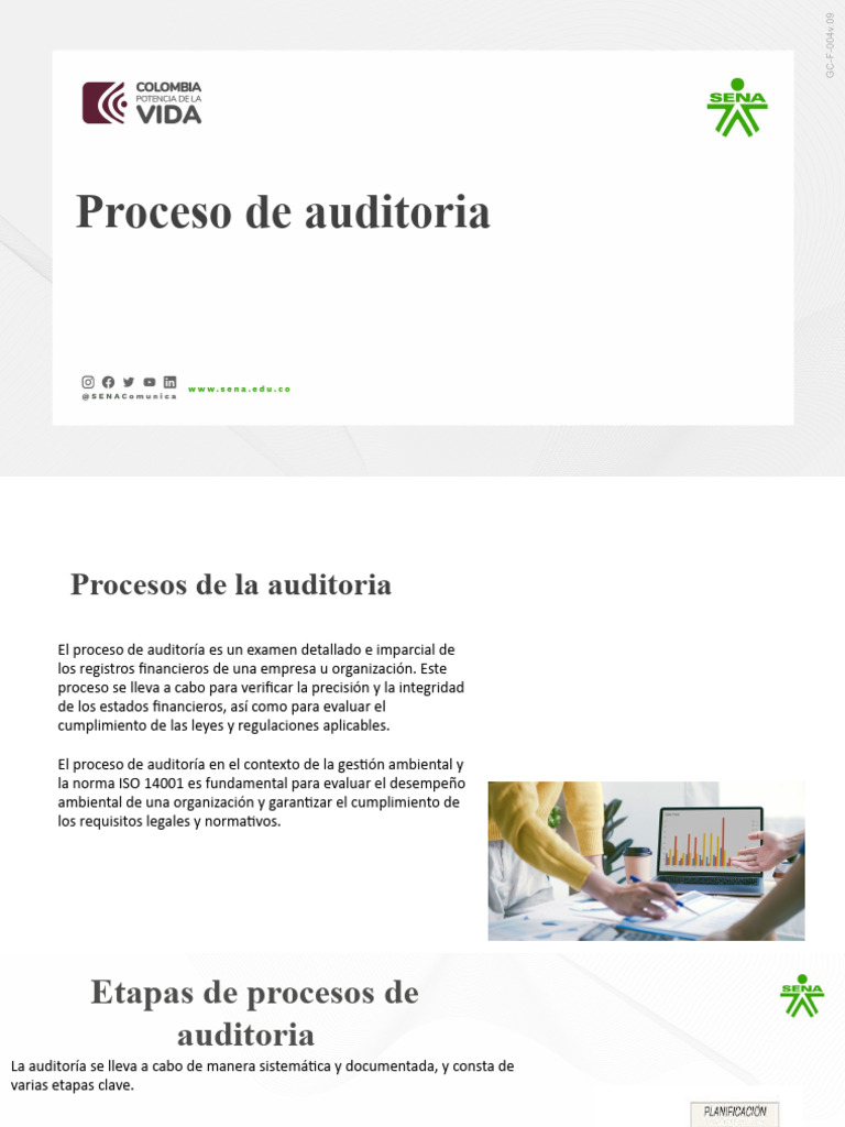 Proceso de Auditora | PDF