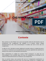 Cas HyperMarché Lion