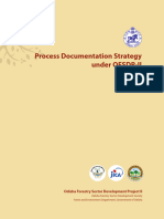 Process Documentation Strategy Under OFSDP-II