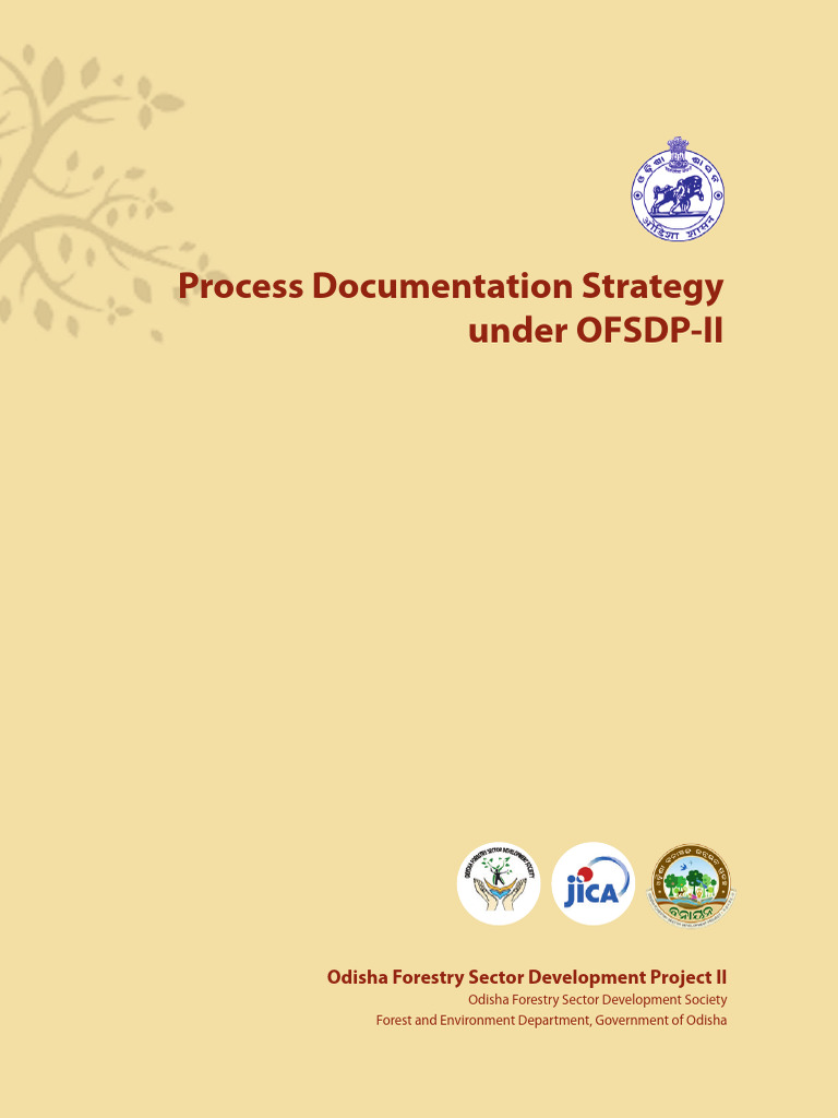 Process documentation strategy under ofsdp ii 1 pdf documentation