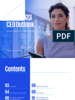2023 CEO Outlook Report