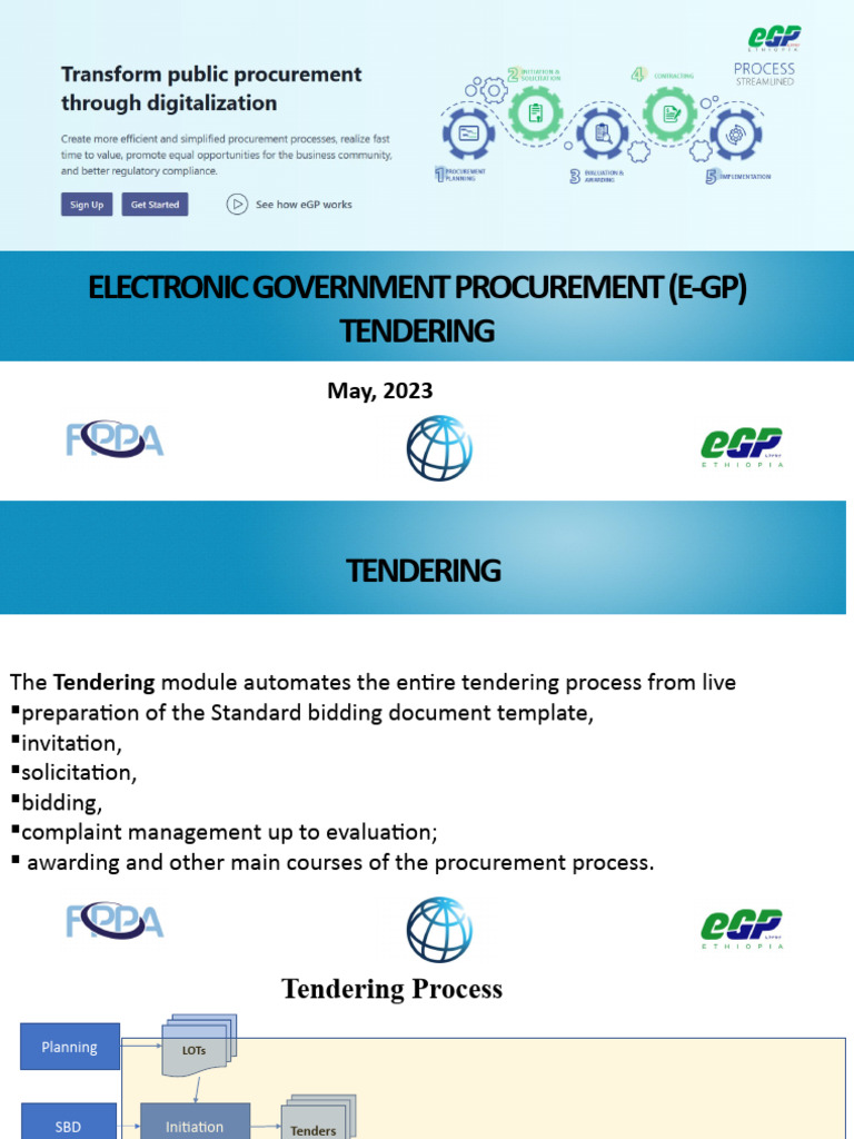 E-Government Procurement Tendering Guide | PDF