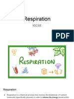 Respiration IGCSE