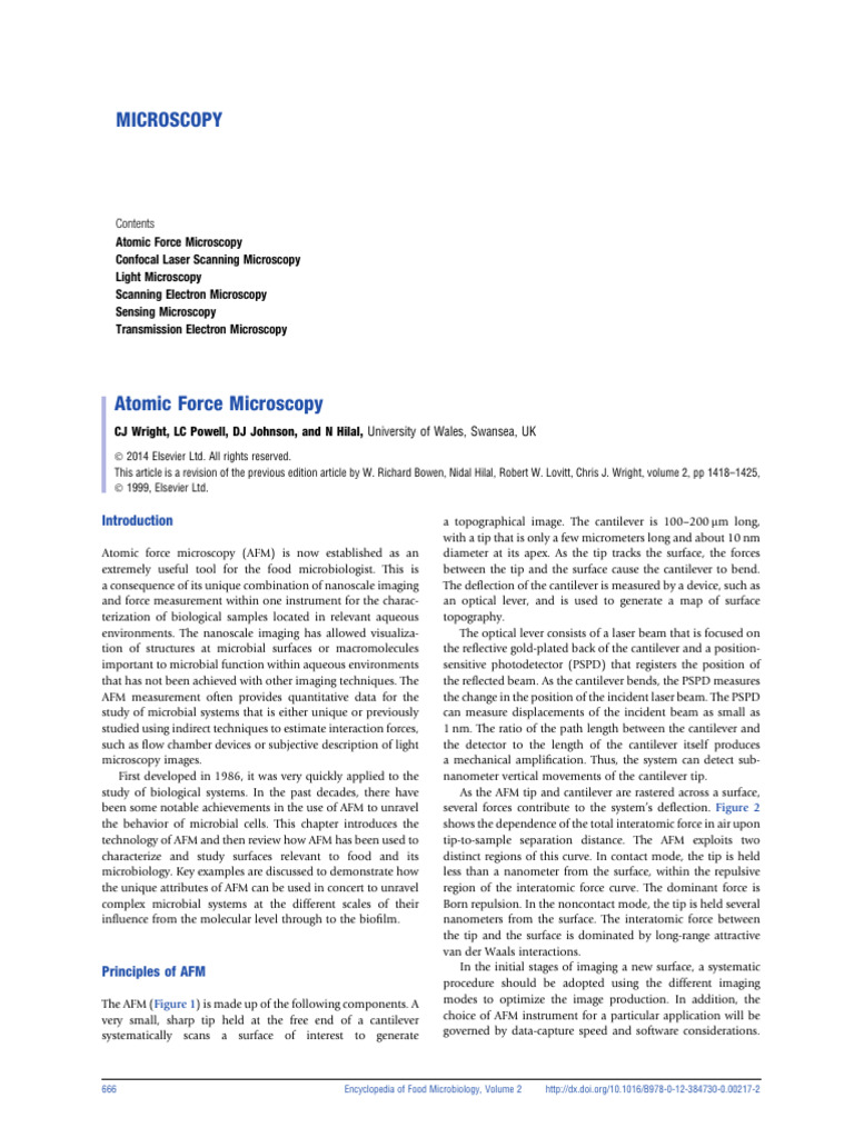 Understanding Atomic Force Microscopy | PDF | Atomic Force Microscopy ...